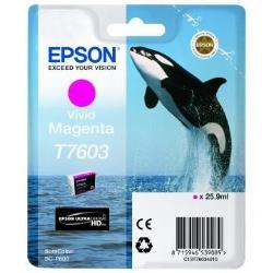Epson £CART.INCHIOSTRO MAGENTA ORCA HD D