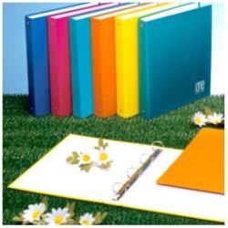 Blasetti CF6RACCOGLITORE A5 ONE COLOR