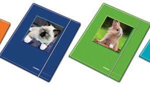 Blasetti CF10 CARTELLA 3 LEMBI CUCCIOLI